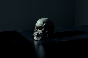 Skull on a dark table