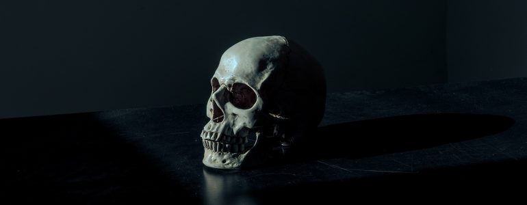Skull on a dark table