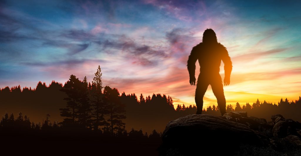 Sasquatch or Bigfoot at dawn